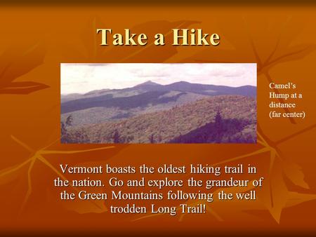 Take a Hike Vermont boasts the oldest hiking trail in the nation. Go and explore the grandeur of the Green Mountains following the well trodden Long Trail!