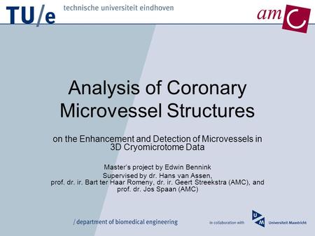 Am Analysis of Coronary Microvessel Structures on the Enhancement and Detection of Microvessels in 3D Cryomicrotome Data Master’s project by Edwin Bennink.