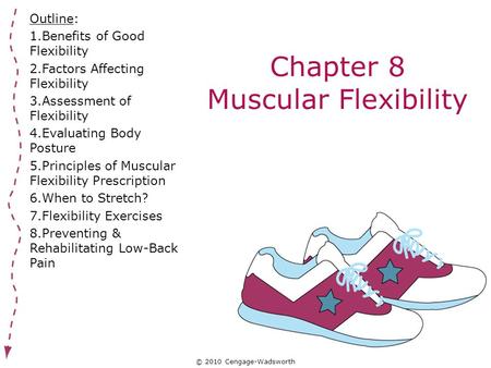 Chapter 8 Muscular Flexibility