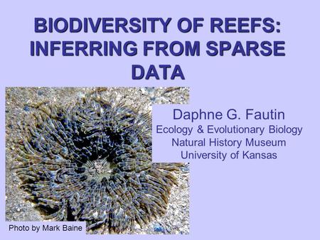 BIODIVERSITY OF REEFS: INFERRING FROM SPARSE DATA Daphne G. Fautin Ecology & Evolutionary Biology Natural History Museum University of Kansas Photo by.