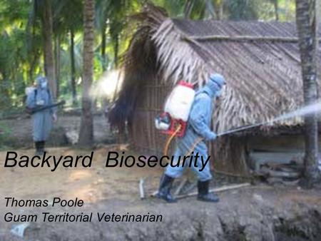 Backyard Biosecurity Thomas Poole Guam Territorial Veterinarian.