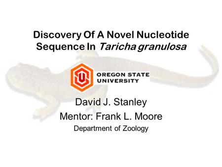Discovery Of A Novel Nucleotide Sequence In Taricha granulosa David J. Stanley Mentor: Frank L. Moore Department of Zoology.