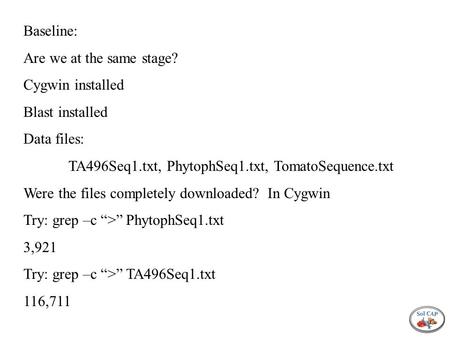 Baseline: Are we at the same stage? Cygwin installed Blast installed Data files: TA496Seq1.txt, PhytophSeq1.txt, TomatoSequence.txt Were the files completely.