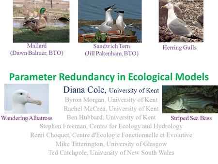 Parameter Redundancy in Ecological Models Diana Cole, University of Kent Byron Morgan, University of Kent Rachel McCrea, University of Kent Ben Hubbard,
