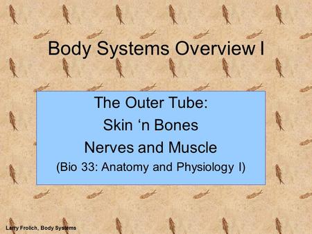 Larry Frolich, Body Systems Body Systems Overview I The Outer Tube: Skin ‘n Bones Nerves and Muscle (Bio 33: Anatomy and Physiology I)