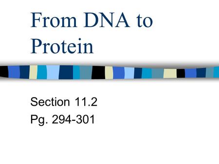 From DNA to Protein Section 11.2 Pg. 294-301.