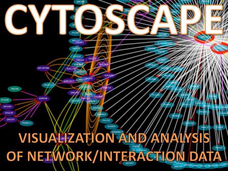 WHAT IS CYTOSCAPE? WHAT CAN I DO WITH IT? HOW DO I IMPORT DATA? HOW DO I VISUALIZE DATA? HOW DO I ANALYZE DATA? WHERE CAN I LEARN MORE?