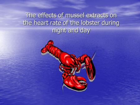 The effects of mussel extracts on the heart rate of the lobster during night and day.
