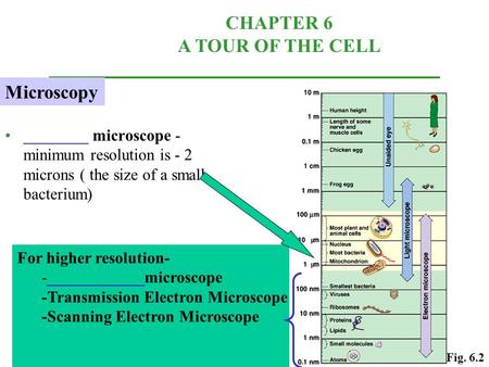 ________ microscope - minimum resolution is - 2 microns ( the size of a small bacterium) CHAPTER 6 A TOUR OF THE CELL For higher resolution- -____________microscope.