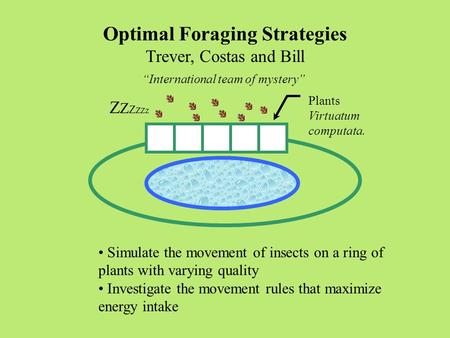 Optimal Foraging Strategies Trever, Costas and Bill “International team of mystery” Plants Virtuatum computata. Simulate the movement of insects on a ring.