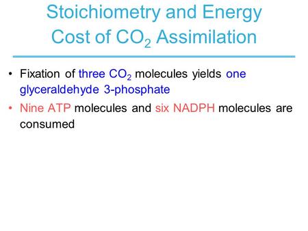 Stoichiometry and Energy Cost of CO2 Assimilation