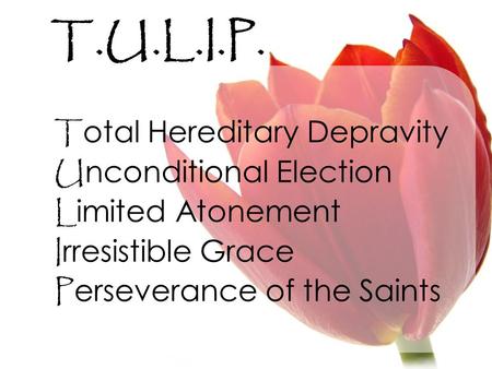 T.U.L.I.P. T otal Hereditary Depravity U nconditional Election L imited Atonement I rresistible Grace P erseverance of the Saints.