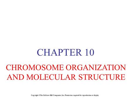 CHROMOSOME ORGANIZATION AND MOLECULAR STRUCTURE