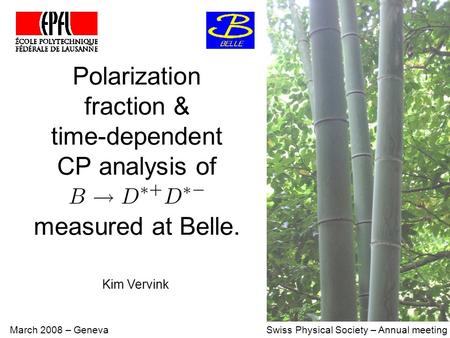 Polarization fraction & time-dependent CP analysis of measured at Belle. March 2008 – Geneva Swiss Physical Society – Annual meeting Kim Vervink.