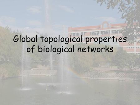 Global topological properties of biological networks.