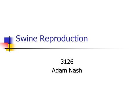 Swine Reproduction 3126 Adam Nash. Swine Reproduction