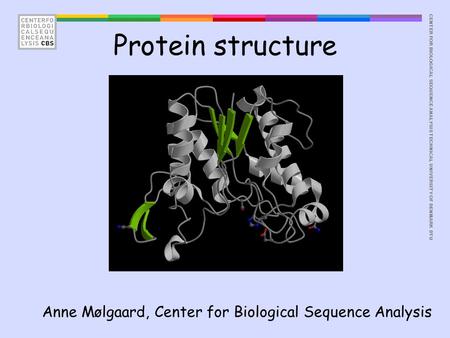 CENTER FOR BIOLOGICAL SEQUENCE ANALYSISTECHNICAL UNIVERSITY OF DENMARK DTU Protein structure Anne Mølgaard, Center for Biological Sequence Analysis.