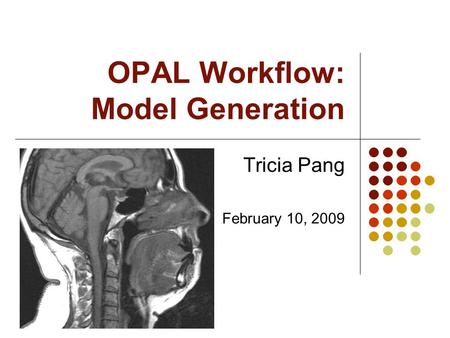 OPAL Workflow: Model Generation Tricia Pang February 10, 2009.