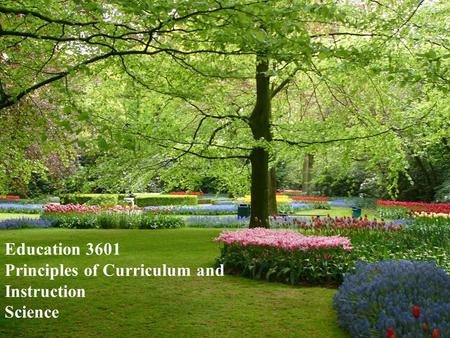 Education 3601 Principles of Curriculum and Instruction Science.