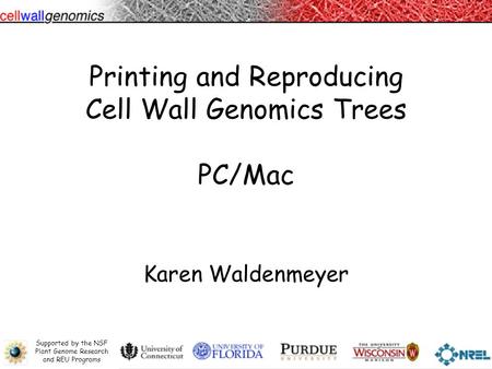 Supported by the NSF Plant Genome Research and REU Programs Printing and Reproducing Cell Wall Genomics Trees PC/Mac Karen Waldenmeyer.