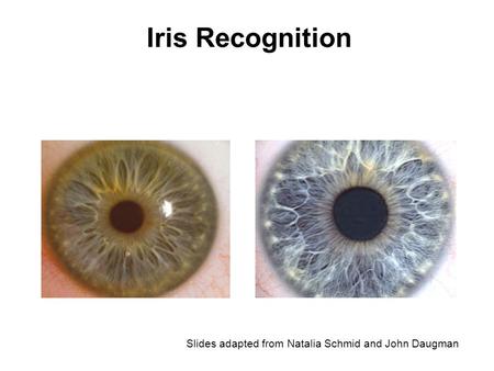 Iris Recognition Slides adapted from Natalia Schmid and John Daugman.