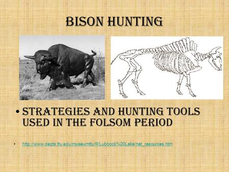 Bison Hunting Strategies and Hunting tools used in the Folsom period