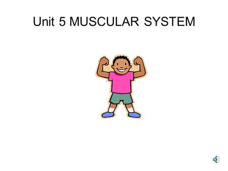 Unit 5 MUSCULAR SYSTEM 2. the 3 Types of MUSCLE TISSUE SMOOTH- in walls of organs, 1 nucleus, involuntary, slowest CARDIAC- heart, rythmical, involuntary,