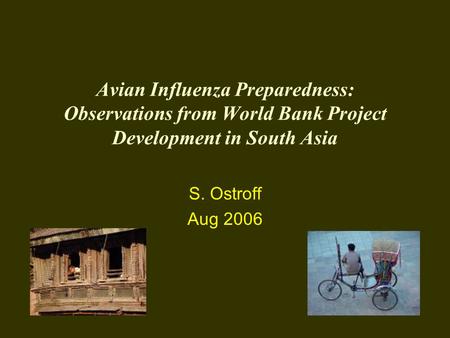 Avian Influenza Preparedness: Observations from World Bank Project Development in South Asia S. Ostroff Aug 2006.