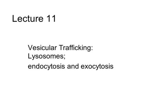 Lecture 11 Vesicular Trafficking: Lysosomes;