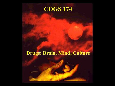 Goal of Class The search for and understanding of the common underlying psychopathologies or causes, in the brain, mind, and culture, that predispose.