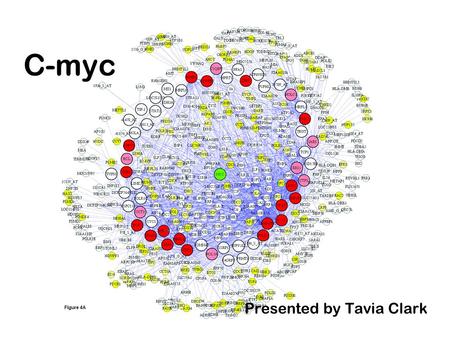C-myc Presented by Tavia Clark. c-Myc: The Quintessential Oncogene Transcription factor involved in: –Cell growth –Cell proliferation –Repression of gene.