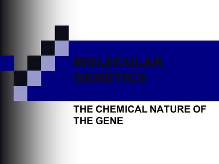 MOLECULAR GENETICS THE CHEMICAL NATURE OF THE GENE.