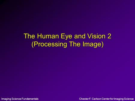 The Human Eye and Vision 2 (Processing The Image)