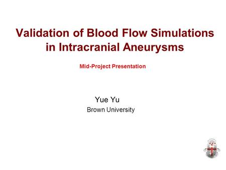 Validation of Blood Flow Simulations in Intracranial Aneurysms Yue Yu Brown University Mid-Project Presentation.