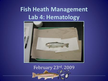 Fish Heath Management Lab 4: Hematology February 23 rd. 2009.