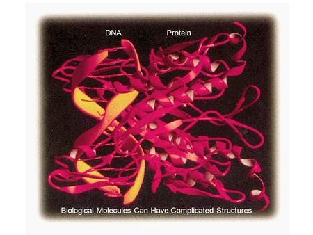 Biological Molecules Can Have Complicated Structures DNAProtein.