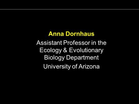 Anna Dornhaus Assistant Professor in the Ecology & Evolutionary Biology Department University of Arizona.