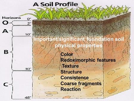 1 Important/significant foundation soil physical properties Color Redoximorphic features Texture Structure Consistence Coarse fragments Reaction.