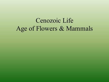 Cenozoic Life Age of Flowers & Mammals. Oceans Similar to Mesozoic… …with new predators.