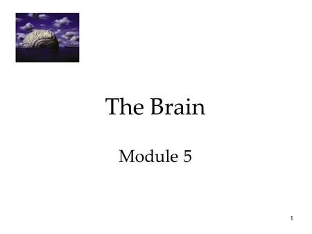 The Brain Module 5 Psychology 7e in Modules.
