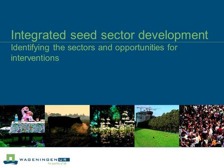 Integrated seed sector development Identifying the sectors and opportunities for interventions.