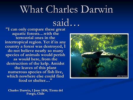 What Charles Darwin said…