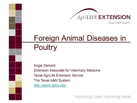 Foreign Animal Diseases in Poultry Angie Dement Extension Associate for Veterinary Medicine Texas AgriLife Extension Service The Texas A&M System