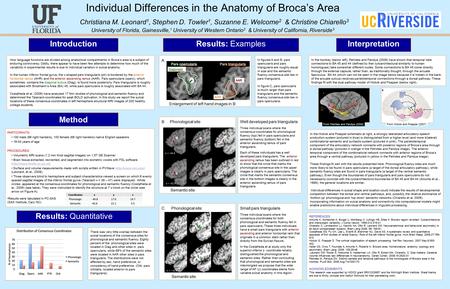 Individual Differences in the Anatomy of Broca’s Area Christiana M. Leonard 1, Stephen D. Towler 1, Suzanne E. Welcome 2 & Christine Chiarello 3 University.