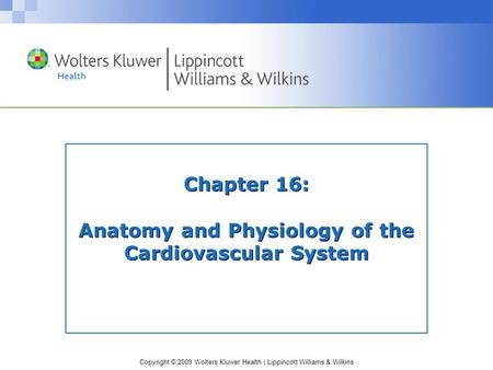 Copyright © 2009 Wolters Kluwer Health | Lippincott Williams & Wilkins Chapter 16: Anatomy and Physiology of the Cardiovascular System.