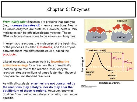 Chapter 6: Enzymes From Wikipedia: Enzymes are proteins that catalyze (i.e., increase the rates of) chemical reactions. Nearly all known enzymes are proteins.