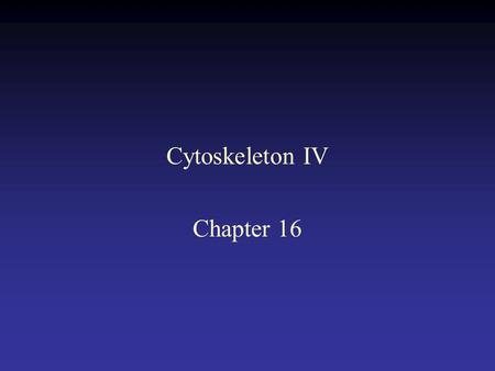 Cytoskeleton IV Chapter 16. Mechanochemical cycle of myosin.