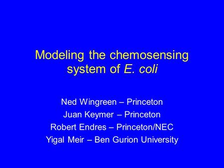 Modeling the chemosensing system of E. coli