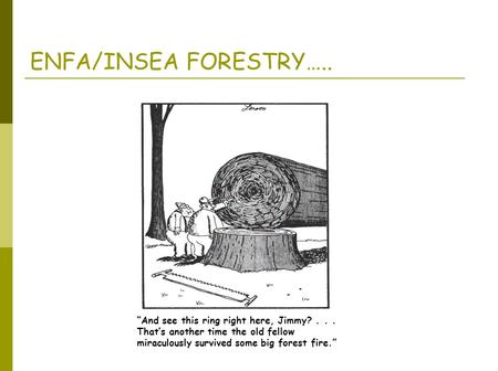 “And see this ring right here, Jimmy?... That’s another time the old fellow miraculously survived some big forest fire.” ENFA/INSEA FORESTRY…..