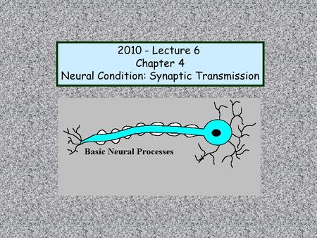 Neural Condition: Synaptic Transmission